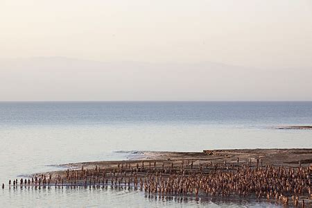 nude jewish teens|200 Israelis strip naked for photo shoot near the Dead Sea